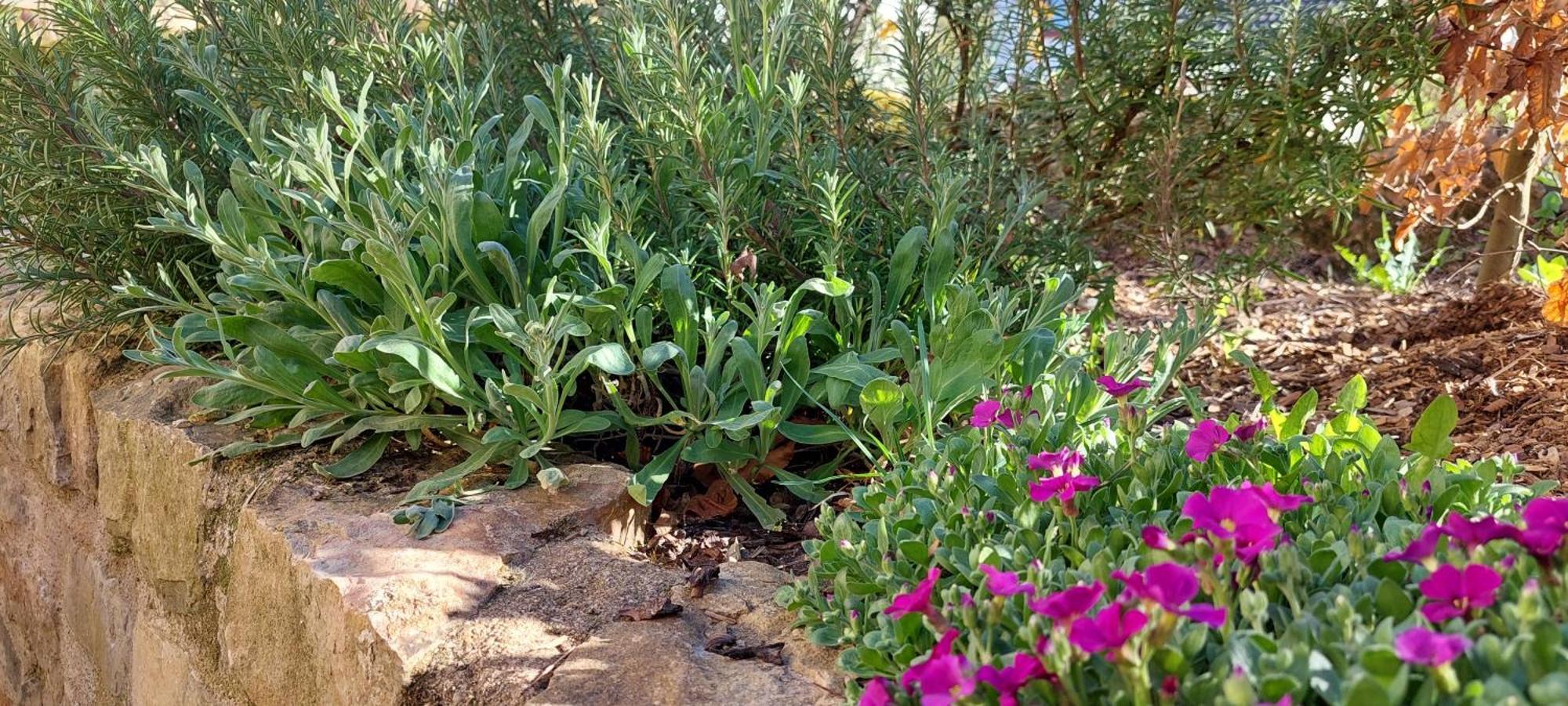 Denkmalgeschuetztes Ferienhaus In Der Suedeifel - Ferienhaus Hazen Bettingen Zewnętrze zdjęcie
